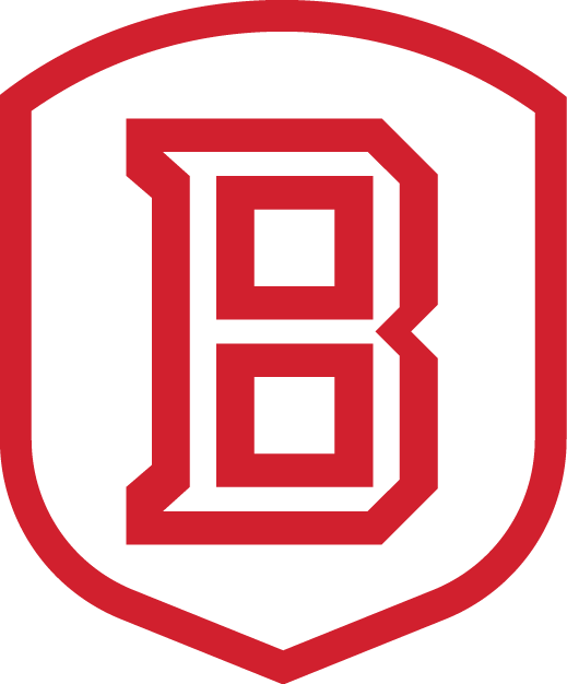 Bradley Braves 2012-Pres Secondary Logo v2 diy DTF decal sticker